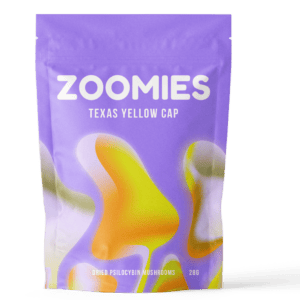 Texas Yellow Cap | Mushrooms Online Canada