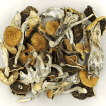 Full Moon Party | Mushrooms Online Canada
