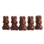 Alice - Mushroom Milk Chocolate - 2.5g | Mushrooms Online Canada
