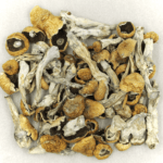 Orissa | Mushrooms Online Canada