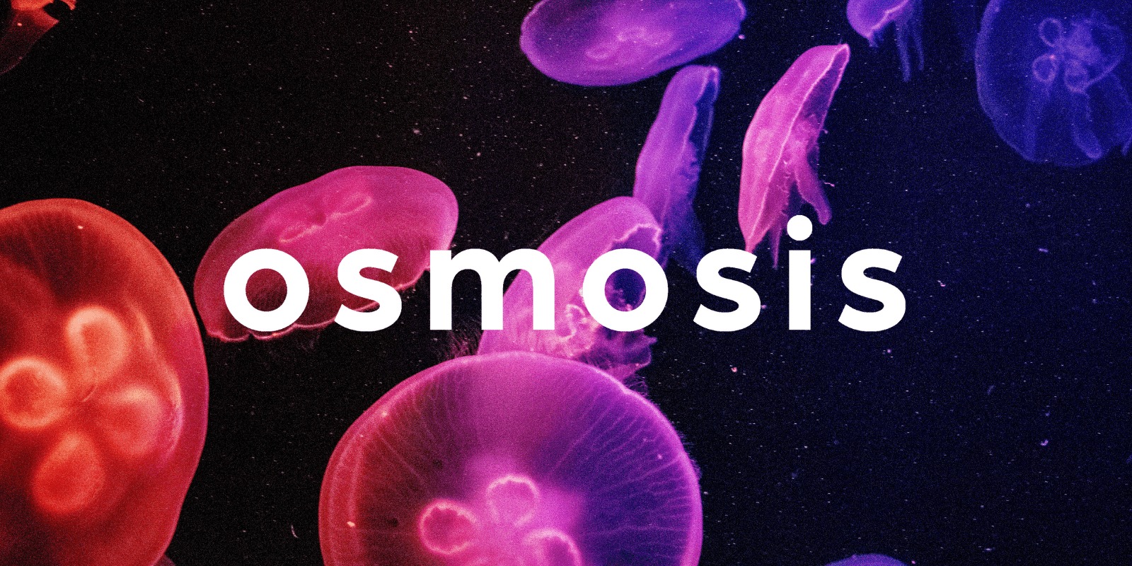 Zoomies osmosis banner | Mushrooms Online Canada