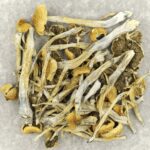 Trinity | Mushrooms Online Canada