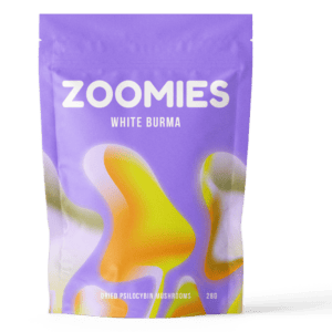 White Burma | Mushrooms Online Canada