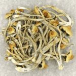 Hautla | Mushrooms Online Canada
