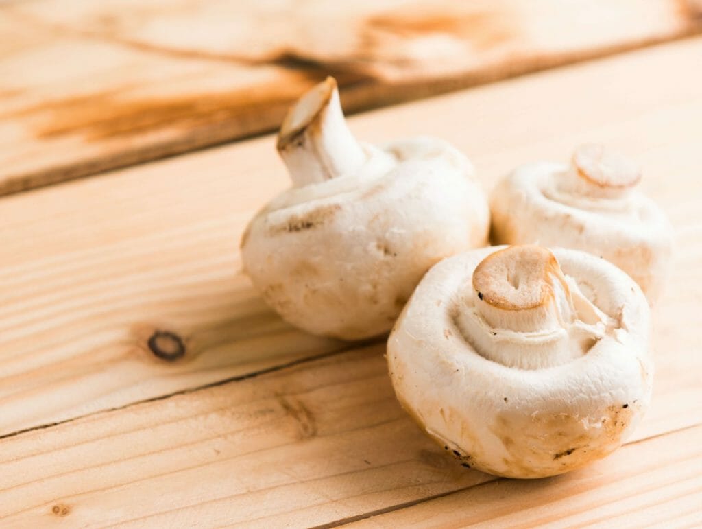 Buy Shrooms Online at Mushrooms Online Canada