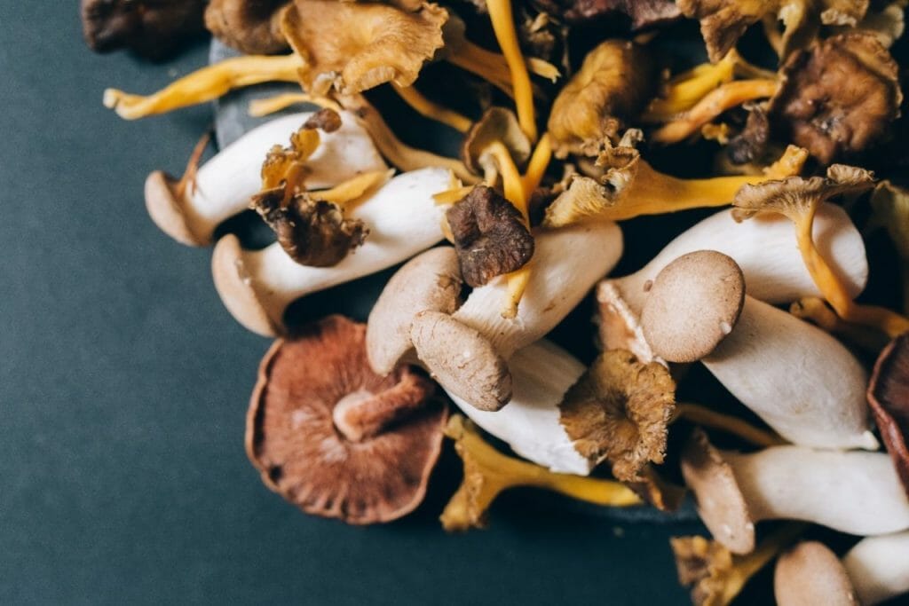 How Do Mushrooms Boost Your Health? Health benefits of mushrooms