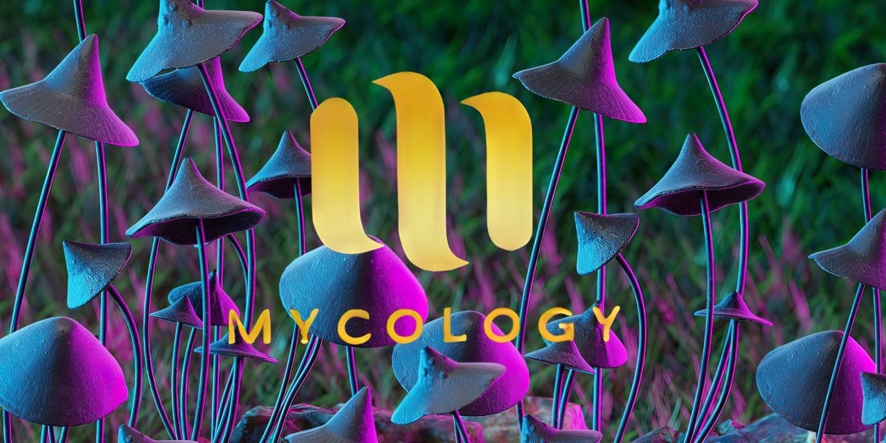 Zoomies Summer 2023 Banner - Mycology | Mushrooms Online Canada