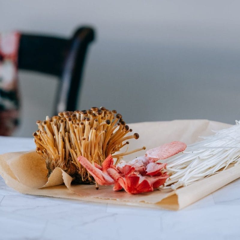 Buy Shrooms Online Canada (1) | Mushrooms Online Canada