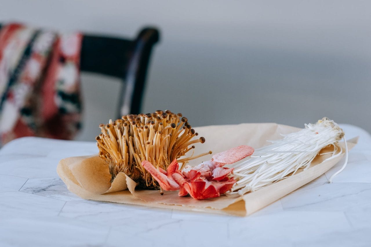 Purchase Mushrooms Online in Canada for Unique Christmas Mushroom Recipes