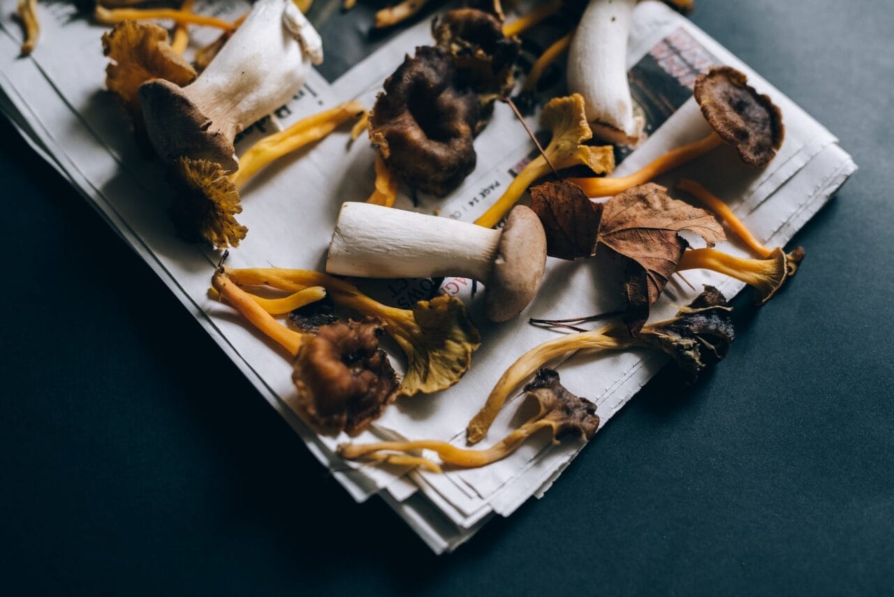 Is Pairing Mushrooms and Chocolate a Good Idea?