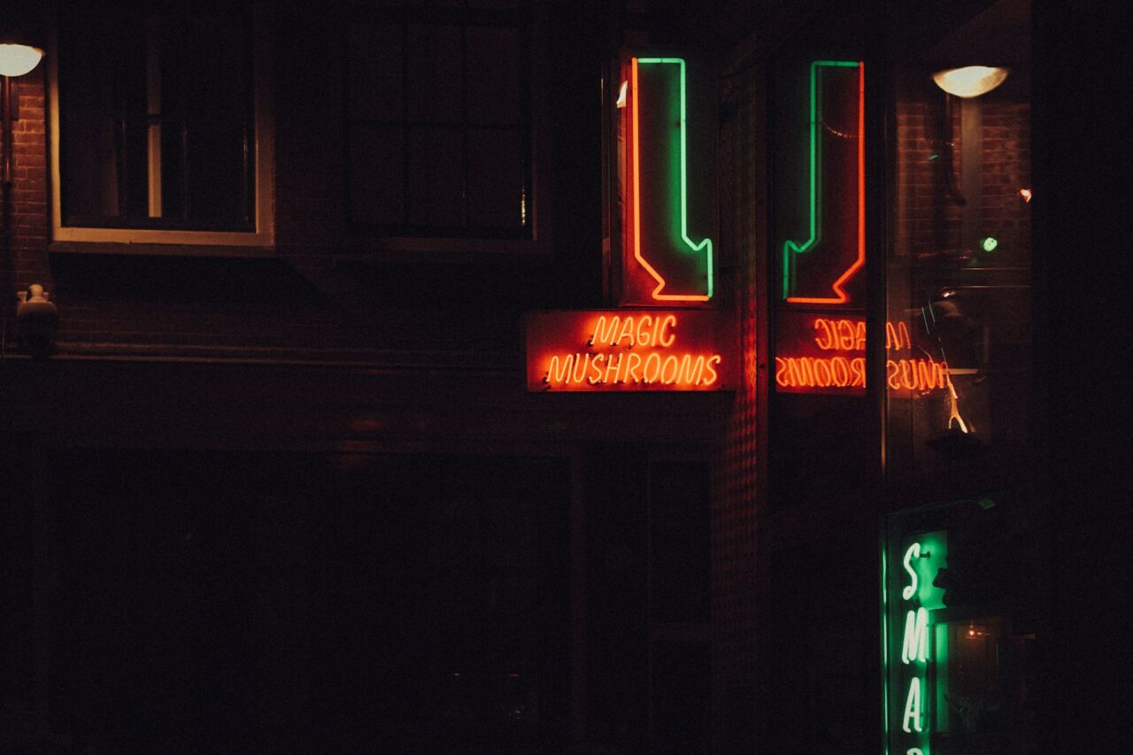 Vancouver Mushroom Dispensary – Understanding How Canada is Closing the Gap on the US Mushroom Surge?